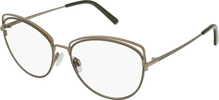 Оправа Оправа Rodenstock R2629 B 54
