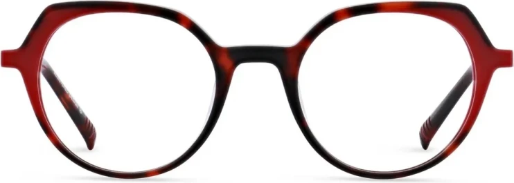 Оправа Оправа Nomad 40225N RR10