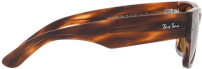 Ray-Ban RB0840S 954/33 51