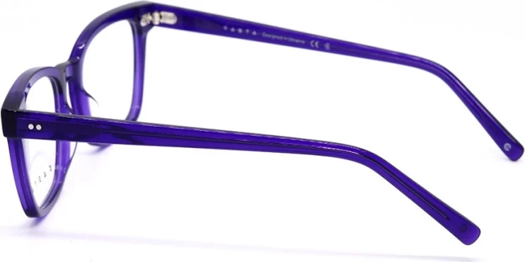 Оправа Оправа Casta CST 1170 PUR