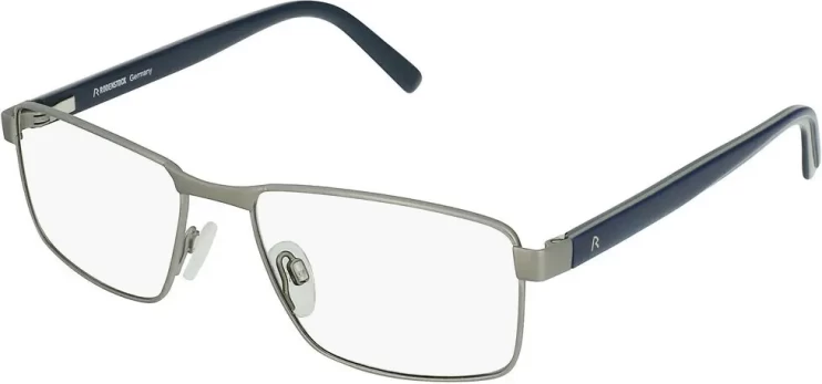Оправа Оправа Rodenstock R2621 D