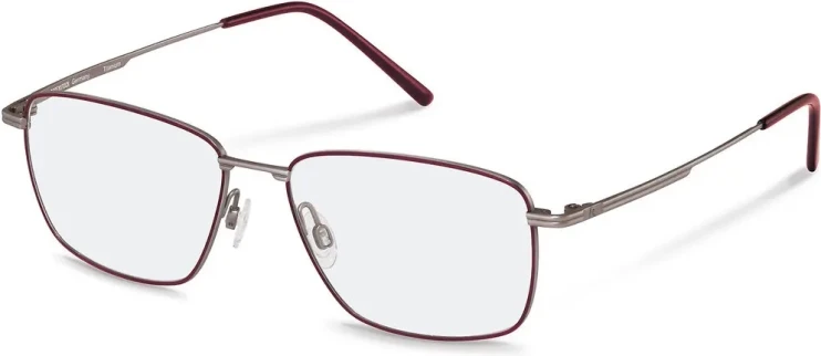 Оправа Оправа Rodenstock R7106 C 54