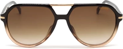 Carrera 315/S YQL58HA