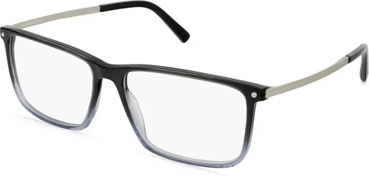 Оправа Оправа Rodenstock R5348 C 58
