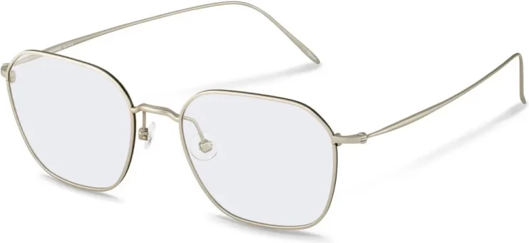 Оправа Оправа Rodenstock R7121 D 53